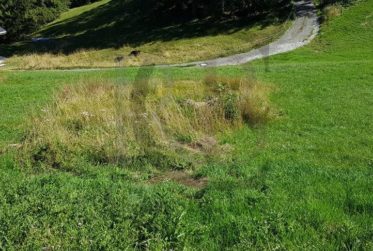 SUR LES HAUTS DE SAVIESE