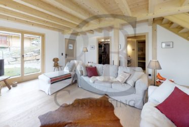 DUPLEX SUR PLAN DANS CHALET NEUF à 10 MIN DE MONTHEY