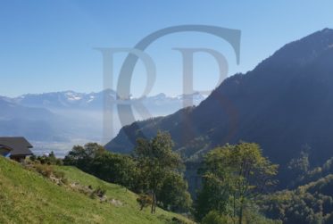 VUE PANORAMIQUE
