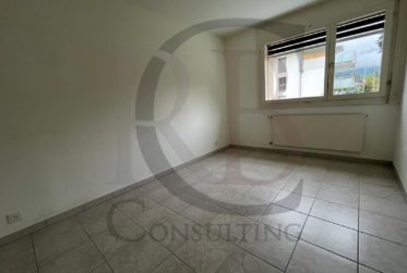 Appartement Locatif dans PPE avec Parking sous-terrain