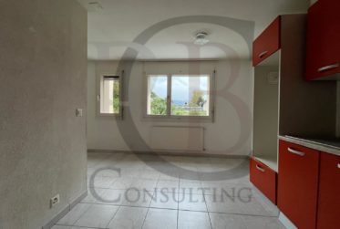 Appartement Locatif dans PPE avec Parking sous-terrain