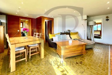 CHARMANT CHALET A VEYSONNAZ EN VENTE EN RESIDENCE SECONDAIRE